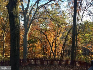 5000 Division St, Gwynn Oak, MD 21207 - photo 4