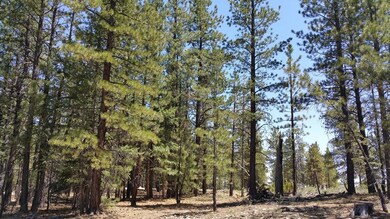 850 N Pine Knoll Loop unit SCP 1-4-64, Duck Creek Village, UT 84762 - photo 5