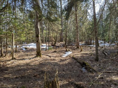 0 Carnegie Woods unit Parcel 2 322988, Naubinway, MI 49762 - photo 4