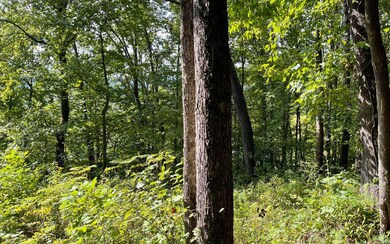 LOT 30 High Meadows, Hayesville, NC 28904 - photo 6