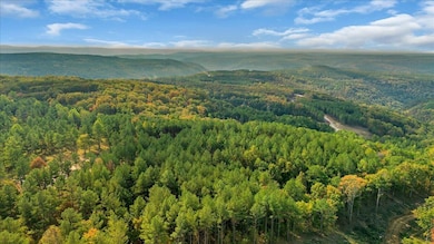 1335 Whispering Way, Guild, TN 37340 - photo 5