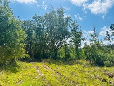 View of undeveloped land