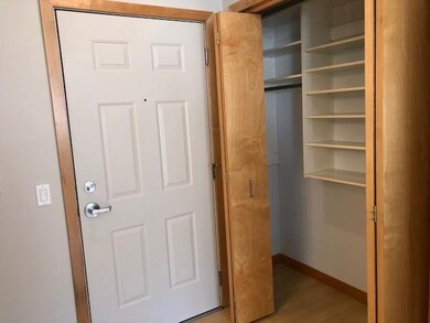 350 W Wilson St unit 301, Madison, WI 53703 - photo 6