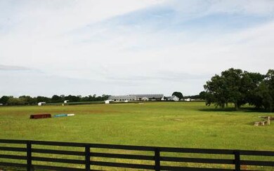 LOT37 Mandiba Dr, Lake City, FL 32024 - photo 4