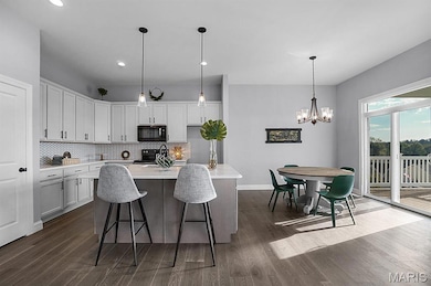 1 Valley Brook Ct unit 1 SJM, Washington, MO 63090 - photo 4