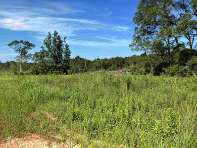 248 ac Bell Crossing Rd, Opp, AL 36467 - photo 7