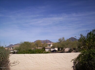 Mountain Views