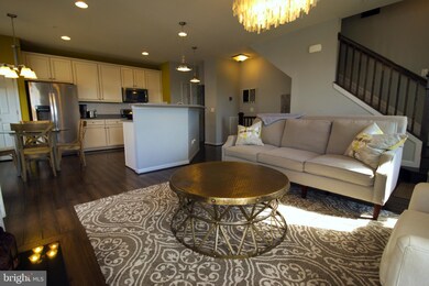 25255 Laureldale Terrace, Chantilly, VA 20152 - photo 5