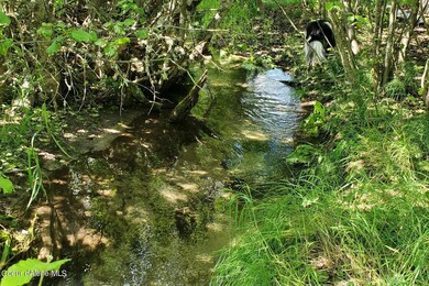 Oly Creek
