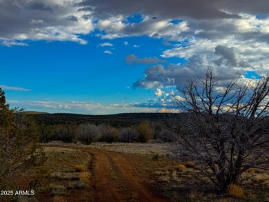 0 W Big Moon Ln Lot A -- unit 6881317, Ash Fork, AZ 86320 - photo 4