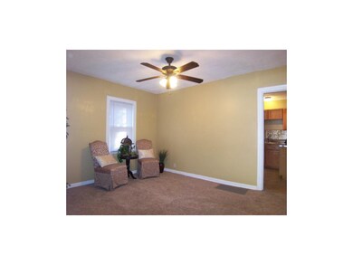 Beautiful ceiling fan in living room