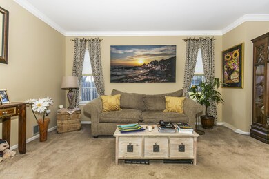 Living Room - View 1