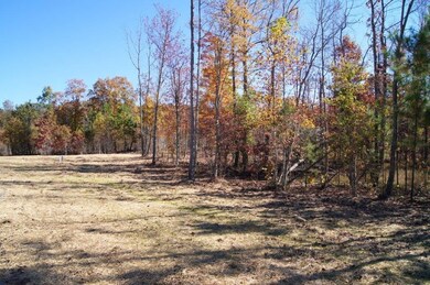 0 Eagle Eye Dr unit RTC2721801, Jasper, TN 37347 - photo 6