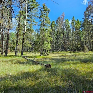 282 Aspen Trail, Cimarron, CO 81220 - photo 2