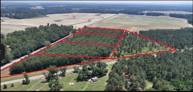 0 Chappell Rd unit 543723, Waynesboro, GA 30830 - photo 4