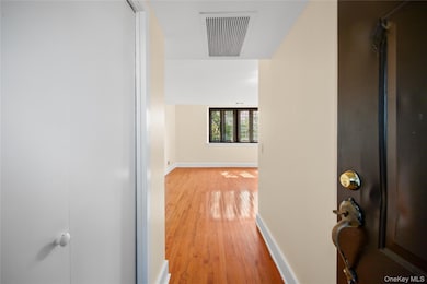 207 Chateau Rive unit 207, Peekskill, NY 10566 - photo 4