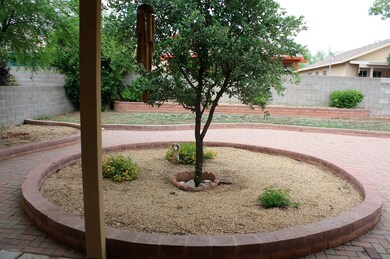 backyard 6
