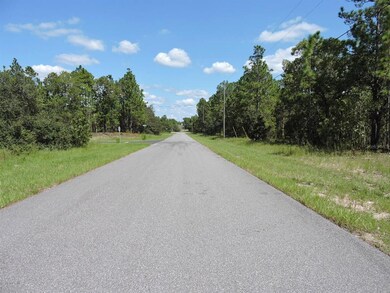 3766 W Galleon St, Citrus Springs, FL 34433 - photo 4