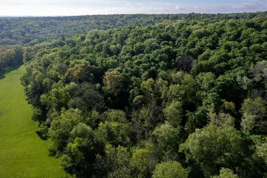 0 Twp Rd 629 & 3292 unit 227606, Loudonville, OH 44842 - photo 5