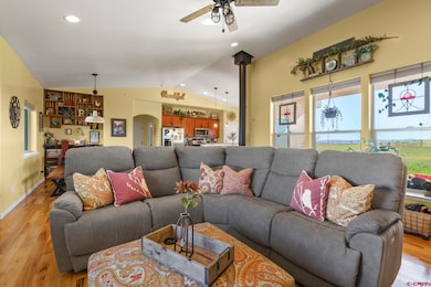 172 Encantado Ln, Durango, CO 81303 - photo 5