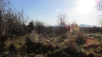IMG_1938