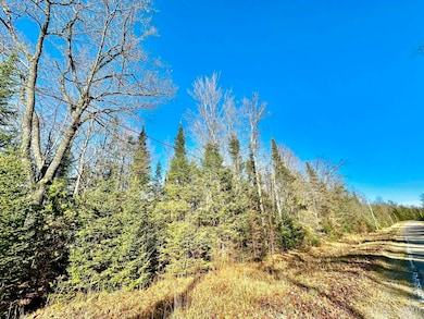 Parcel 5 Sportsmens Club Rd, Iron Mountain, MI 49801 - photo 4