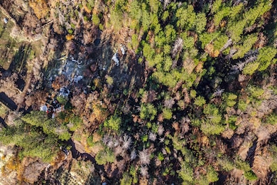 Photo 98130007000 D (1)