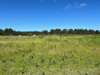 1201 Tyler Ave NE, Bemidji, MN 56601 - photo 5