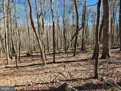 LOTS 8 & 9 Howard Delawder Ln, Mathias, WV 26812 - photo 2