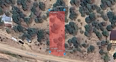 3142621 Pioneer Town, Baldwin Lake, CA 91706 - photo 5