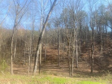 Lot 7 SW Holloway Rd, Cleveland, TN 37311 - photo 3