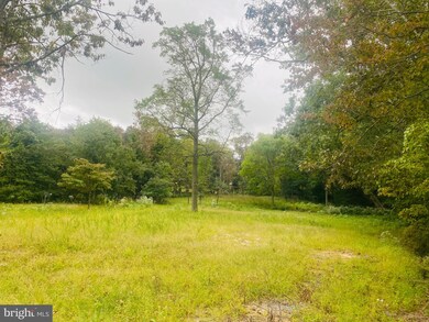 124 Jackson Rd, Berlin, NJ 08009 - photo 3