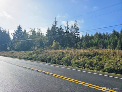 5635 Highway 101, South Bend, WA 98586 - photo 2