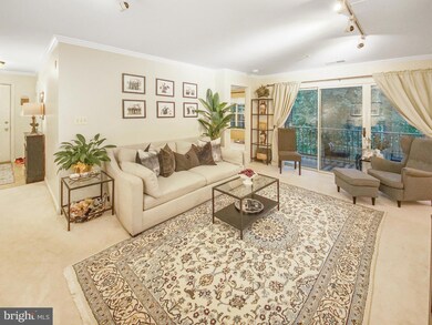 127 Timberbrook Ln unit 203, Gaithersburg, MD 20878 - photo 7