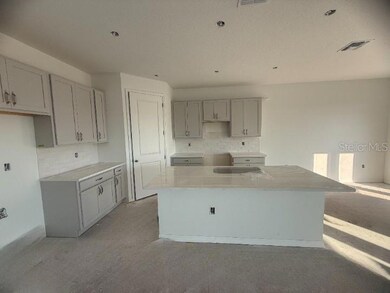 5255 Painted Bamboo St, St. Cloud, FL 34771 - photo 6