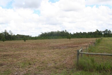 0 Wildlife Way unit 847156, Callahan, FL 32011 - photo 5