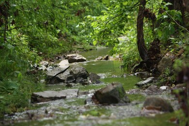 Water flowing through the property gives it the quiet peacefulness needed in today's hectic world.  
