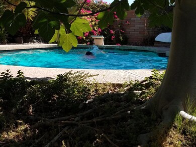 Beautiful pool