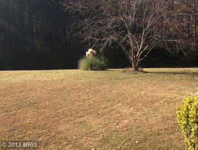 14700 Creeping Willow Ln, Spotsylvania, VA 22551 - photo 3