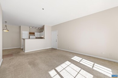 290 Riverbend Dr unit 2D, Charlottesville, VA 22911 - photo 6