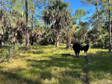 3570 Magnolia Trace, Labelle, FL 33935 - photo 5