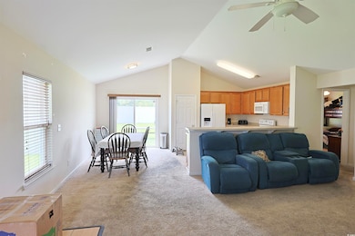 Living room featuring light carpet, vaulted ceiling, and a ceiling fan