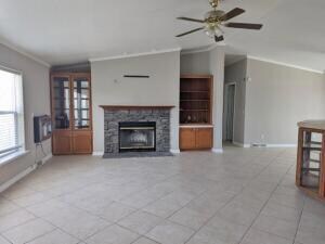 living room  (1)