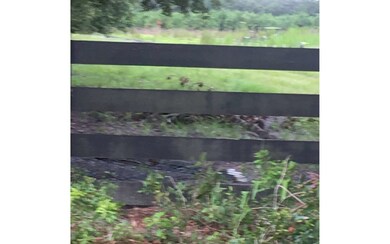 0 Family Road (Cr 240) unit 112224, Lake City, FL 32025 - photo 4