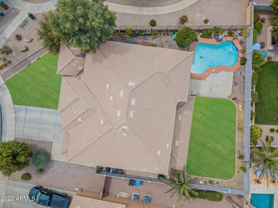 Birdland - Aerial-5