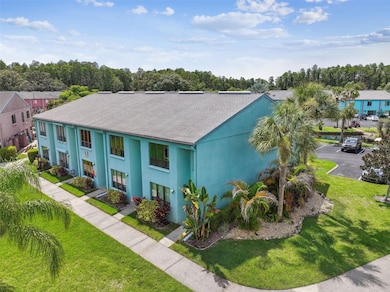 20890 Negril Ct unit 5, Lutz, FL 33558 - photo 6