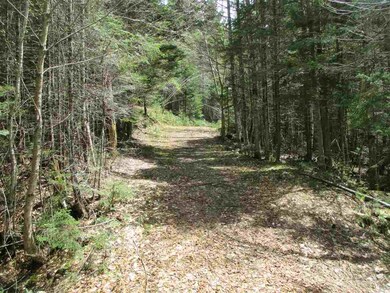 30 Moose Run, Waterville Valley, NH 03215 - photo 6