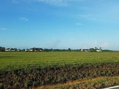 Land/Lot.