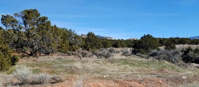 unlisted-address, Cedar City, UT 84720 - photo 5