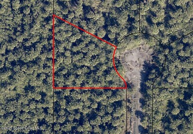 2854 Overland Ct SW, Palm Bay, FL 32908 - photo 4